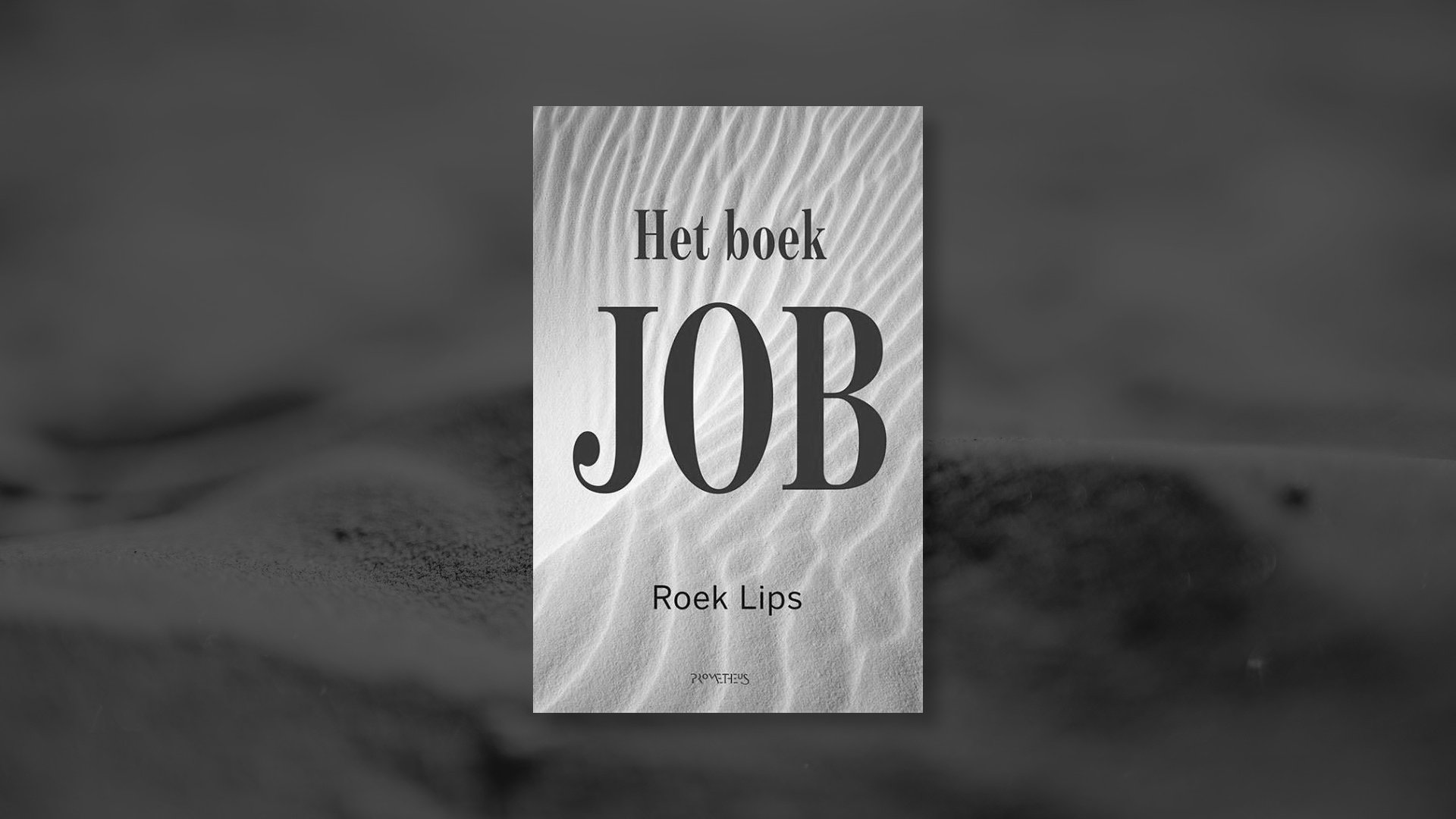 Boek - Het boek Job - Roek Lips